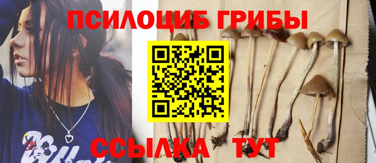 цены   Вход с VPN  Владивосток  Псилоцибиновые грибы Psilocybine cubensis 